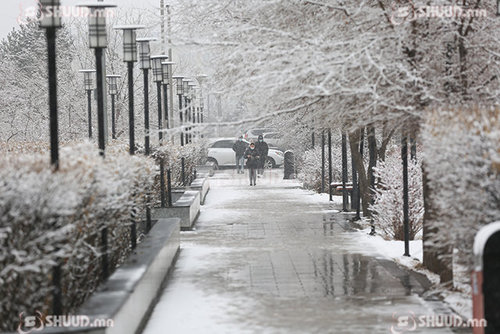 Улаанбаатарт нойтон цас орж, цасан шуурга шуурна